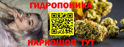 сатива Камышлов