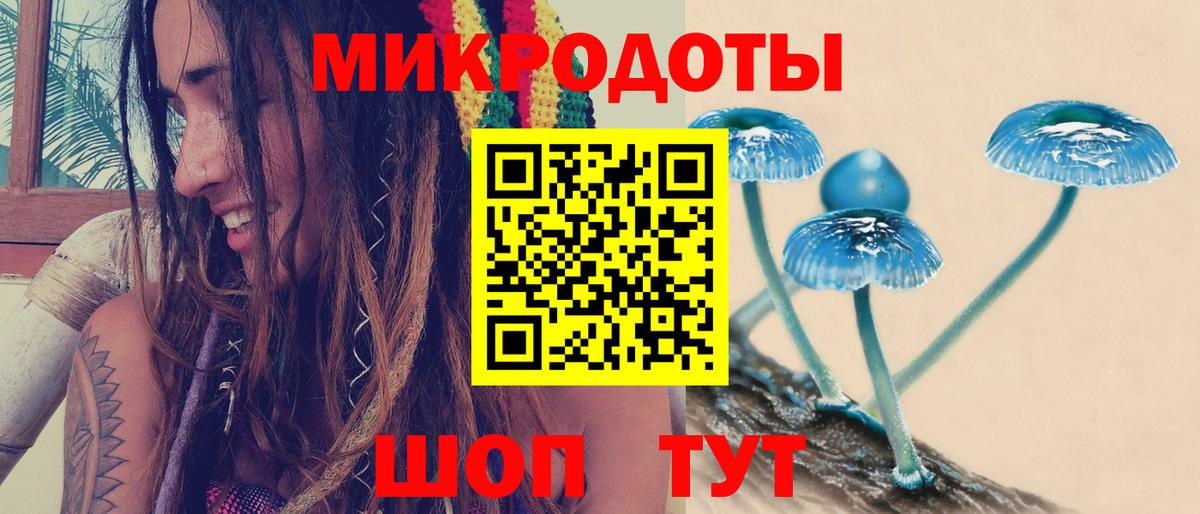 Псилоцибиновые грибы Psilocybe Луховицы